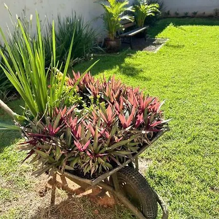 Casa Jardim Eliza Apartamento Foz do Iguaçu Exterior foto